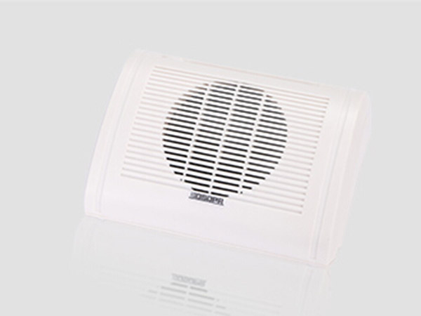 DSP116壁挂扬声器