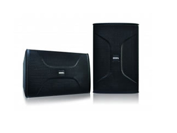 BSP-812 BIK 12寸号角专业音箱