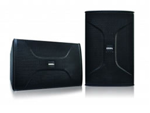 BSP-810 BIK 10寸号角专业音箱