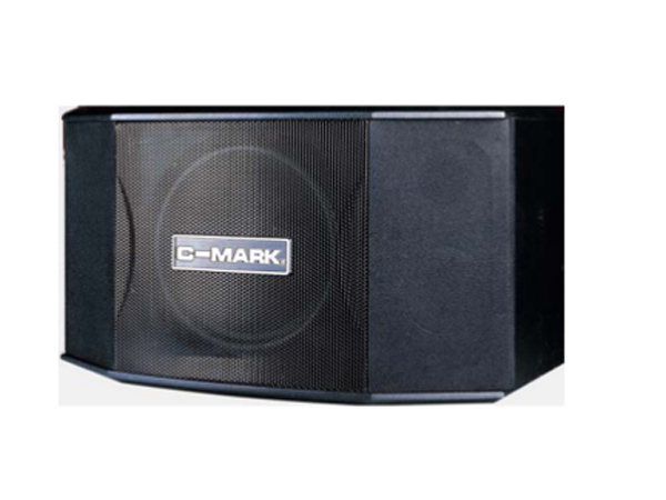 CK300 包房音箱